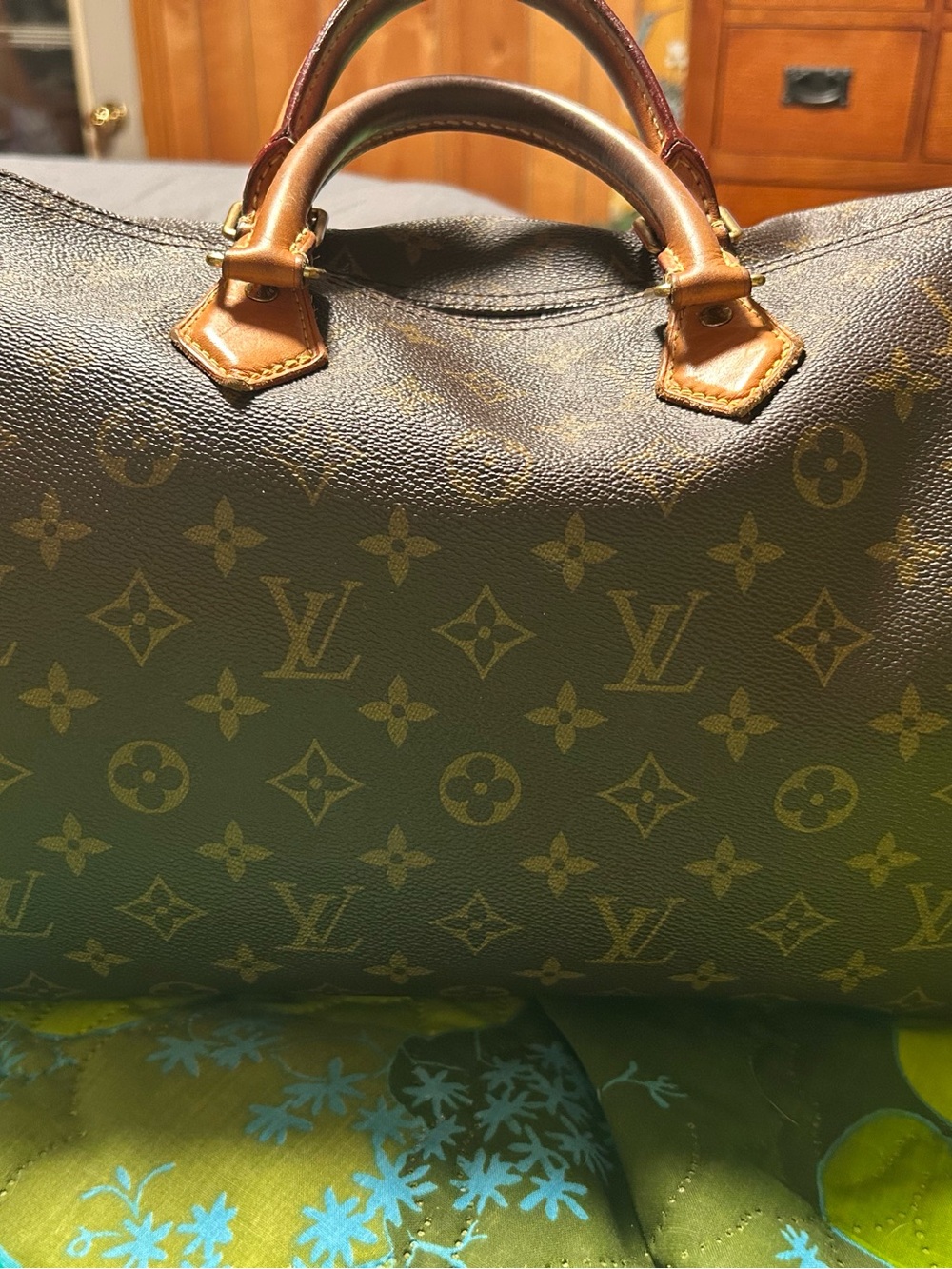 Louis Vuitton Monogram Canvas Travel Satchel in Brown and Tan